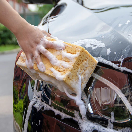 Car Wash Sponge